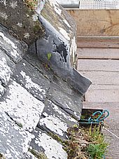 blocked gutter